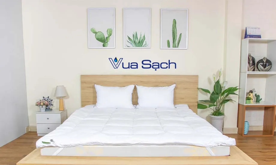 Topper-long-vu-la-gi-uu-va-nhuoc-diem-cua-topper-long-vu-2