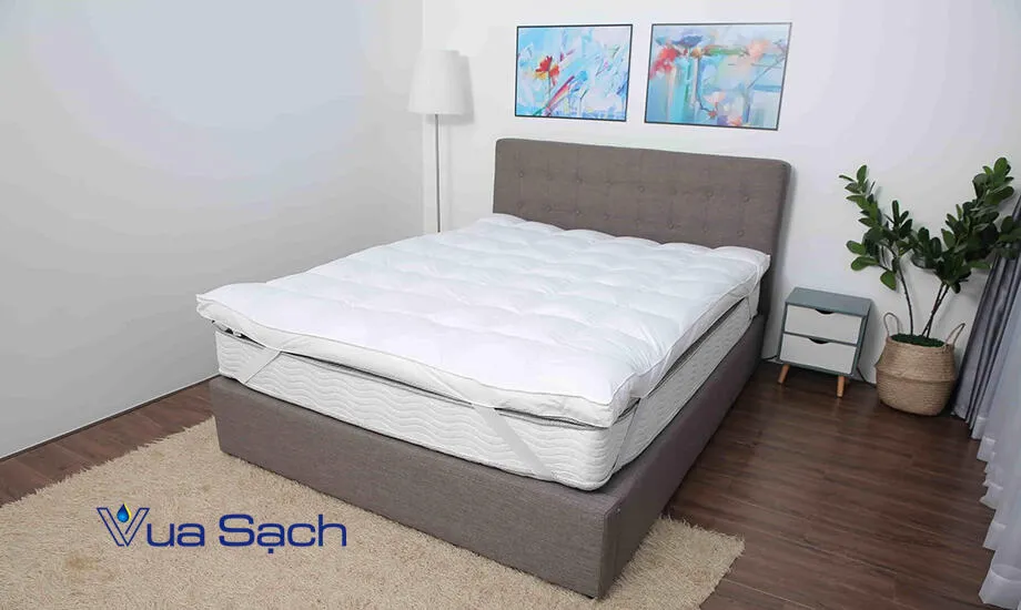 Topper-long-vu-la-gi-uu-va-nhuoc-diem-cua-topper-long-vu-3
